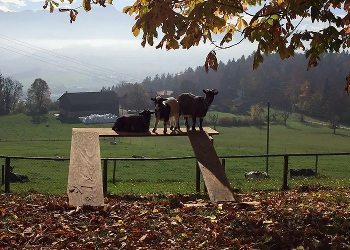 Landgasthof Santisblick Hotel