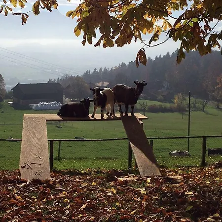 Landgasthof Santisblick Hotel